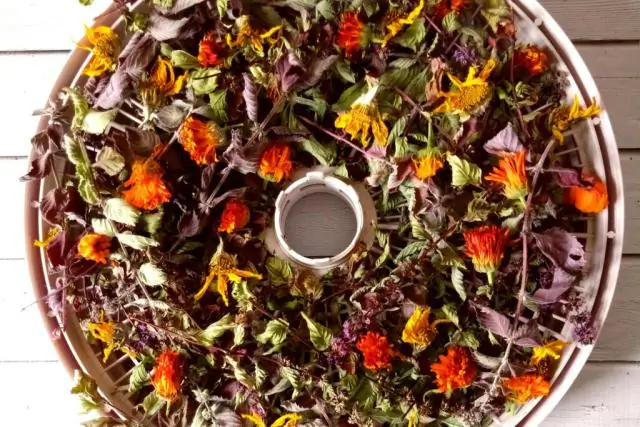 Сколько времени нужно, чтобы герметик высох?