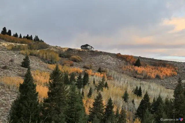 Почему Стэнли Айдахо такой холодный?