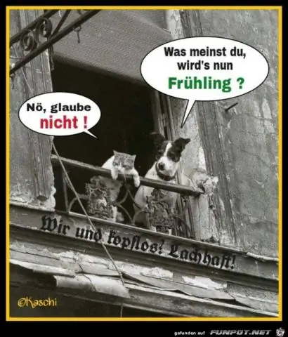 Что вы имеете в виду под чеком?