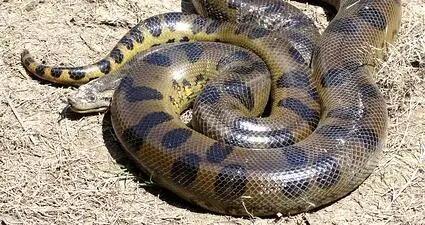 Что такое уличное освещение от заката до рассвета?