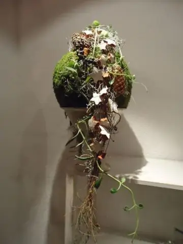 Что эльфы делают на Рождество?