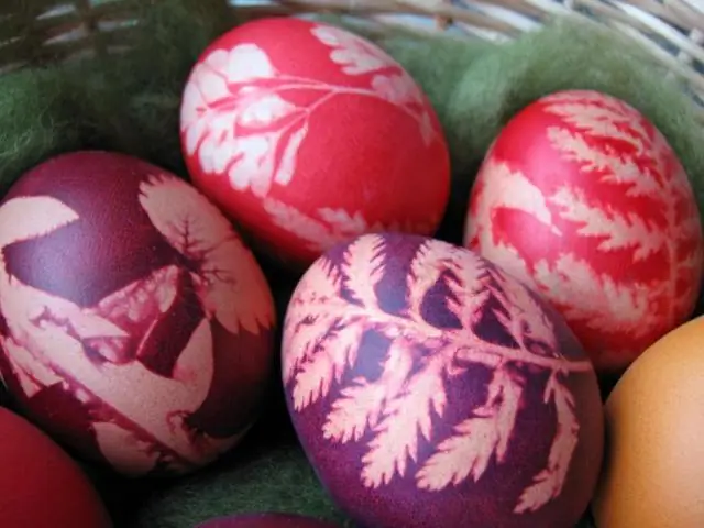 Что символизирует лук в Esperanza Rising?