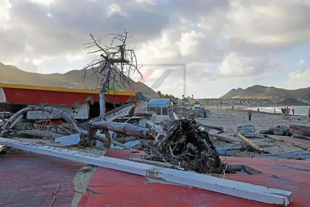 Когда начались круизы на Кубу?