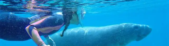 Безопасно ли плавать в озерах Южной Каролины?