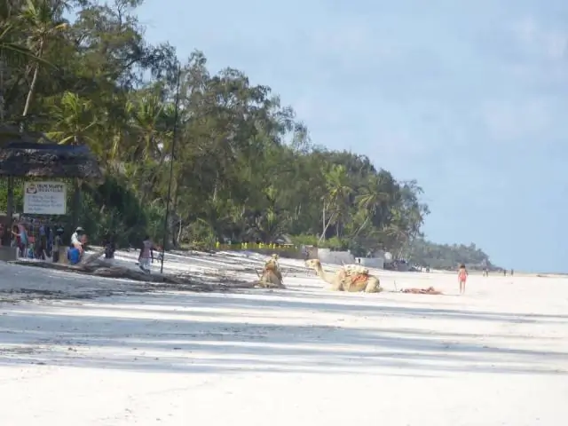 Можно ли выпить на пляже Доквейлер?