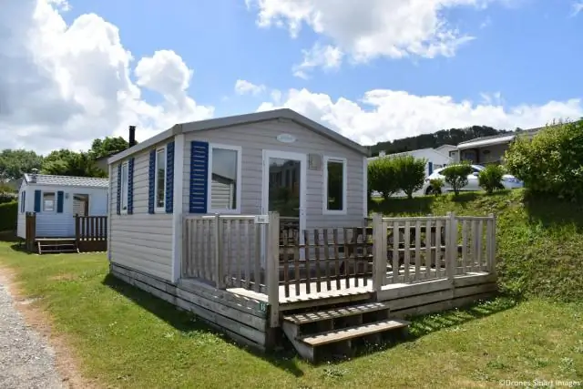 Разрешает ли Norwegian Air размещение с домашними животными?