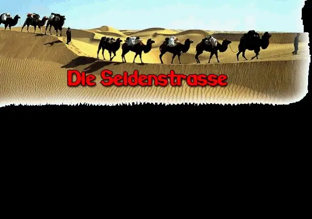 Что послужило причиной создания Шелкового пути?