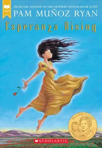 Что является темой Esperanza Rising?