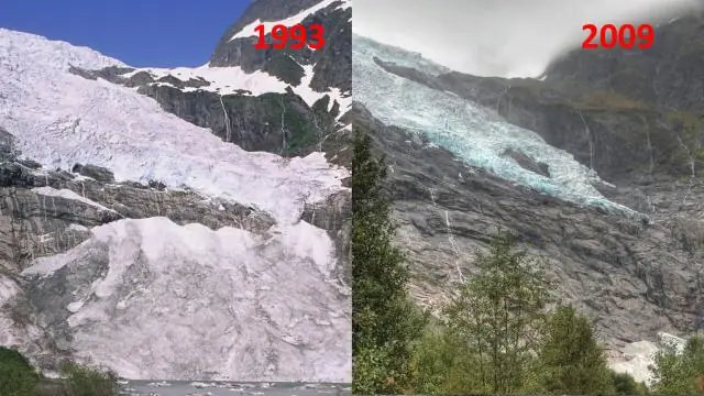 Почему его называют торговцем рыбой?