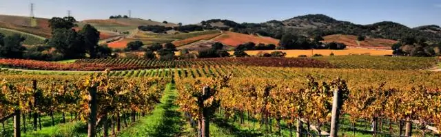 Чем заняться в Сан-Франциско в апреле?