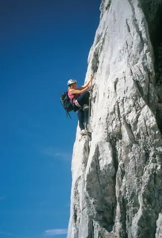 Что выращивают на Юго-Востоке?