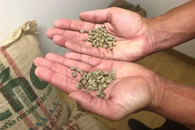 Какие страны составляют Эль Коно Сур?