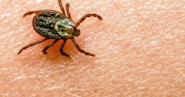 Как затянуть уплотнительную гайку?