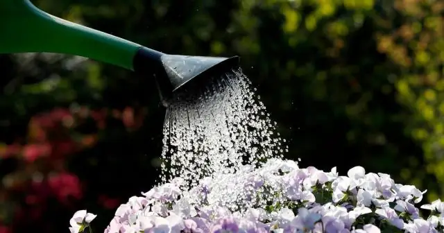 Как пройти от КПП Вудлендс до КПП Вудлендс?