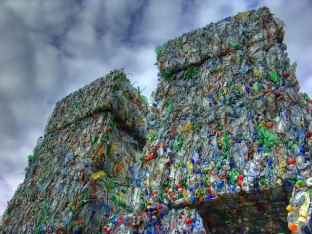 Как вы используете яблоки Гравенштейна?