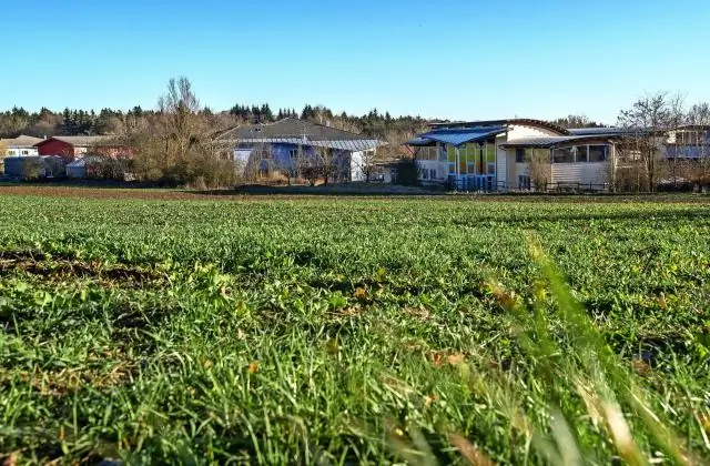 Какой тип экономики у Свазиленда?