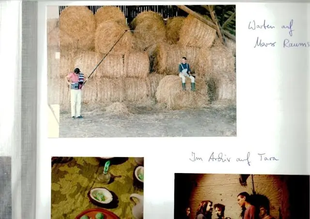 Чем Эдди Мабо зарабатывал на жизнь?