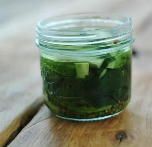 Ферментирует ли Shigella flexneri лактозу?