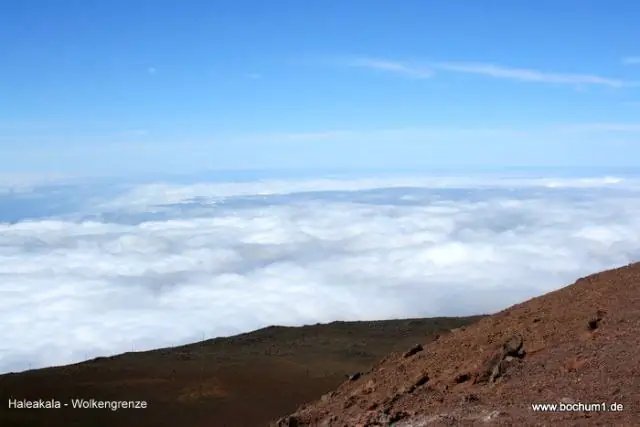 Какие круизные линии ходят из Калифорнии на Гавайи?