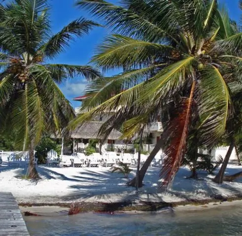 Кто исследовал побережье Южной Америки?