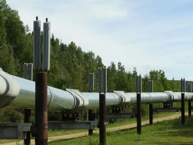 Как получить золото Аляски MVP?