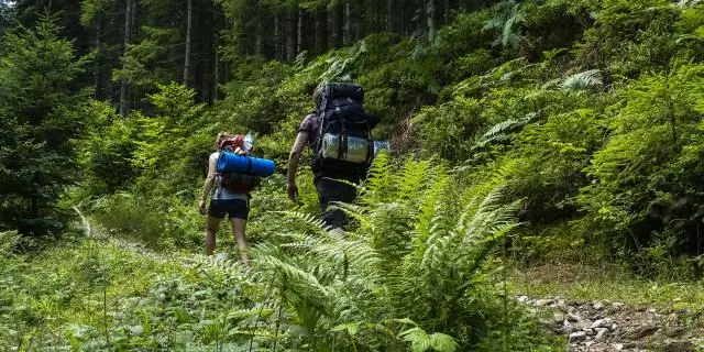 Можно ли вырвать в компостном туалете?