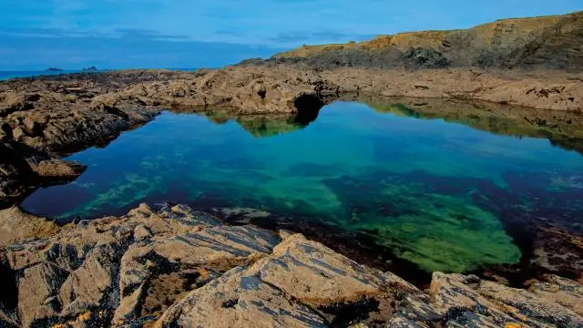 Какие примеры Bay?