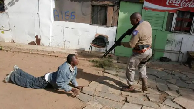 Сколько вагонов поезда 3а?