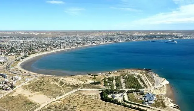 Какой национальный цветок Аргентины?