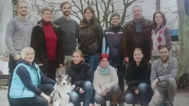 С какими трудностями столкнулись некоторые пионеры?