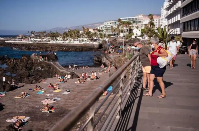 Есть ли на Канарских островах акулы?