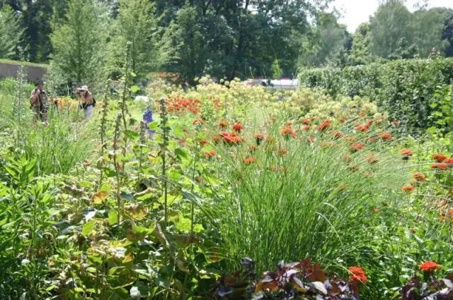 Каковы новые названия индонезийской провинции Ириан Джая?