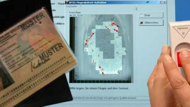 Как работают ворота электронного паспорта?