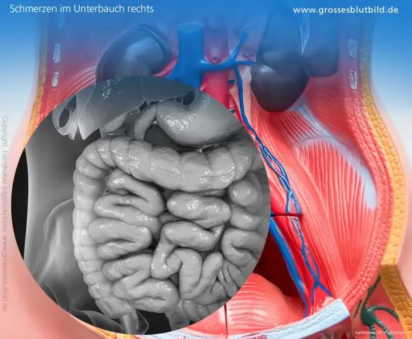 Где находится SFGate?