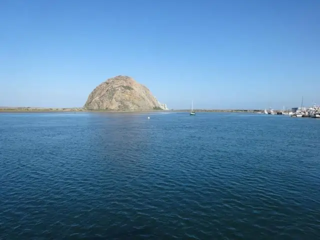 Как далеко Тюленькие скалы?