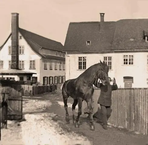 Как изменилась городская жизнь в конце 1800-х - начале 1900-х годов?