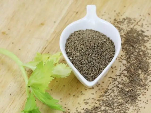 Можете ли вы заменить свежий сельдерей семенами сельдерея?