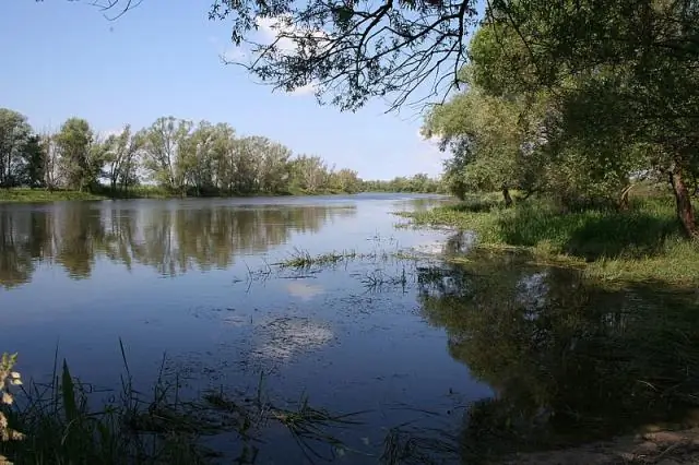 В какой части реки образуются старицы?
