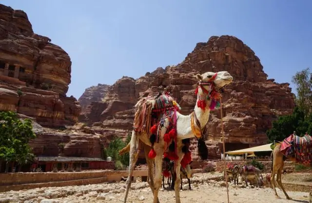Сколько стоит поехать в Петру Джордан?