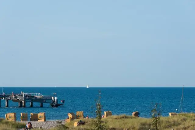 Как называется дюнная трава?