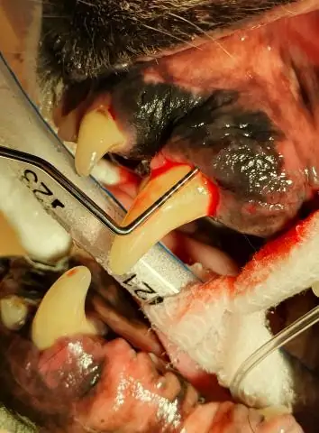 Как сделать крючок из вешалки?