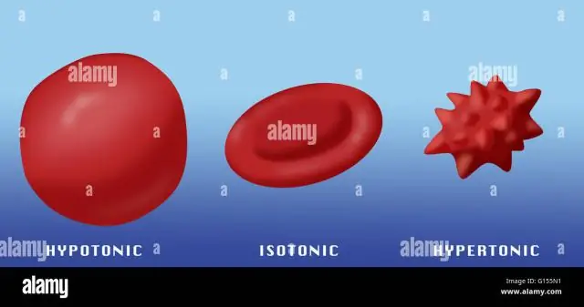 Что такое гипотонический и гипертонический раствор?