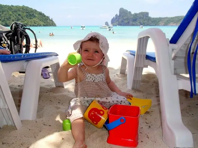 Есть ли у акул жир?