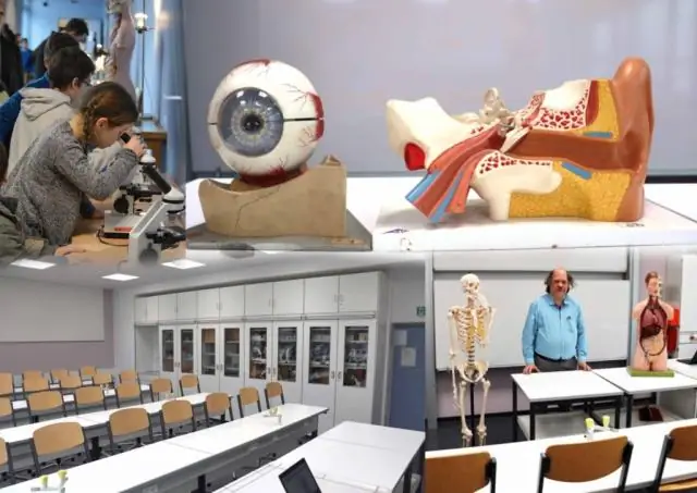 Какие известные люди живут в Саусалито?