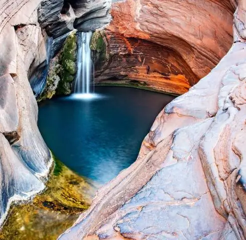 Креп-мирт родом из Австралии?