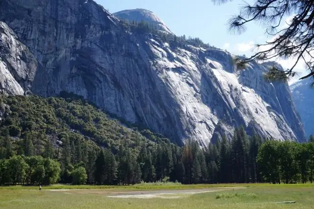 Стоит ли мне беспокоиться о медведях в Йосемити?