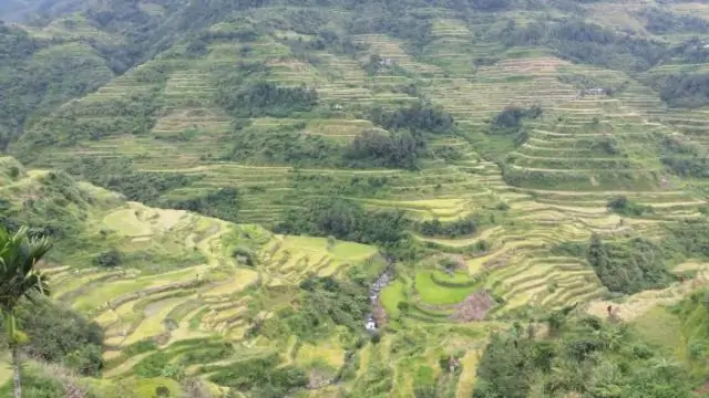 Когда останавливается трамвай Денвера?