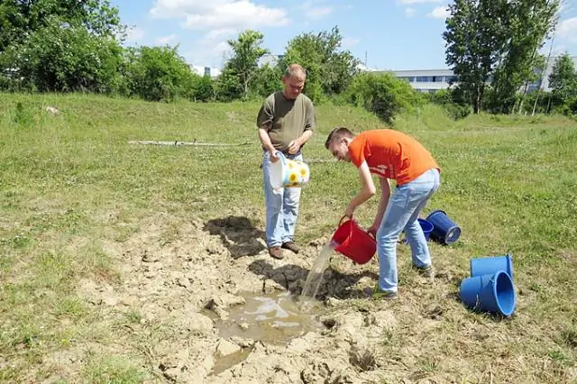 Сколько нужно ласточек, чтобы нести кокос?