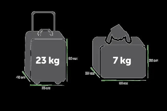 Можно ли провозить шоколад в ручной клади в Singapore Airlines?
