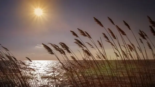 Почему Германия потопила викторину "Лузитания"?